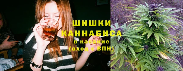 гидра Очёр