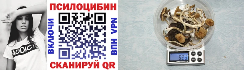 Псилоцибиновые грибы Psilocybine cubensis  Ангарск 